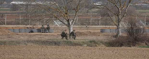 kastanies-border-fence-thumb-large